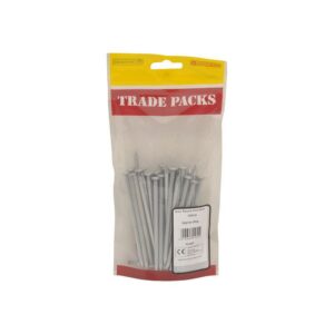 100mm Galv Round Wire Nails (500g)