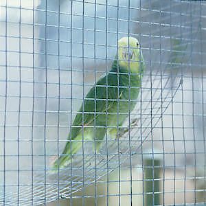 Handy Mesh Panel 0.6m x 0.9m 25MM MESH