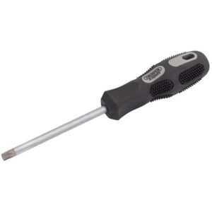T40X100TX-SCREWDRIVER