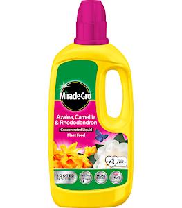 Miracle Gro Azalea/Camelia/ Rhododendron Concentrated 800ml
