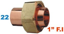 Ftg Cylinder Conn, Ftg x Fi (Swivel) 22 X 1