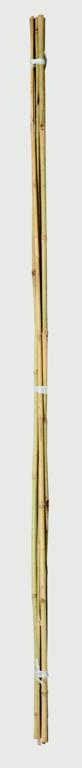 BAMBOO GARDEN CANE PK20 4′ (1.2MT)