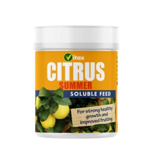 Vitax Citrus Feed – Summer 200g