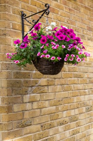 Ambassador Willow Hanging Basket 14″