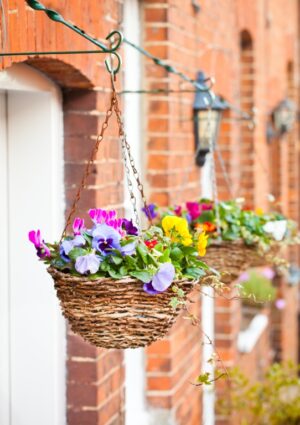 Apollo Rattan Hanging Basket 12″