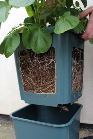 Agralan Potato Pots Pack 3