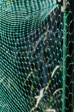 GARDEN NET GREEN 3MX2M N