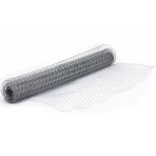 WIRE NETTING 600x25 10MTR APOLLO