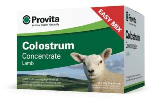 COLOSTRUM LAMB PROVITA “SACHET”