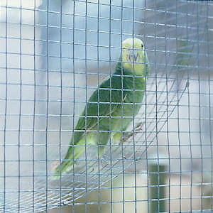 PVC Handy Mesh  0.6m x 0.9m 50MM MESH