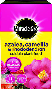 MIRACLE-GRO ERICACEOUS   500GM