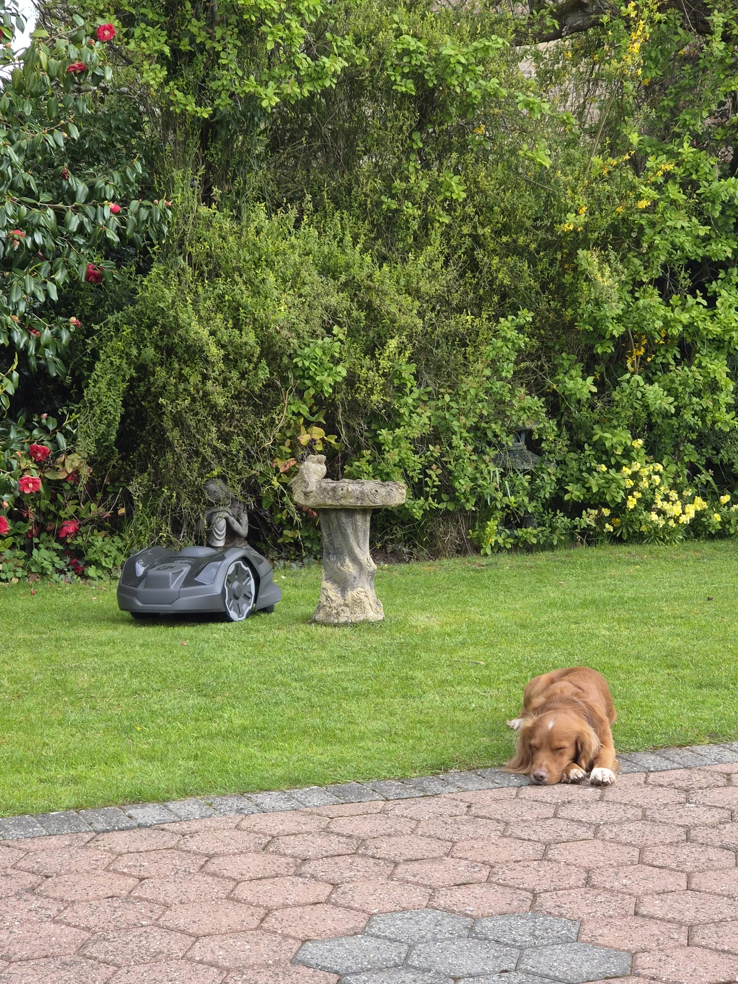 Husqvarna 305E robotic mower installation Nidderdale North Yorkshire
