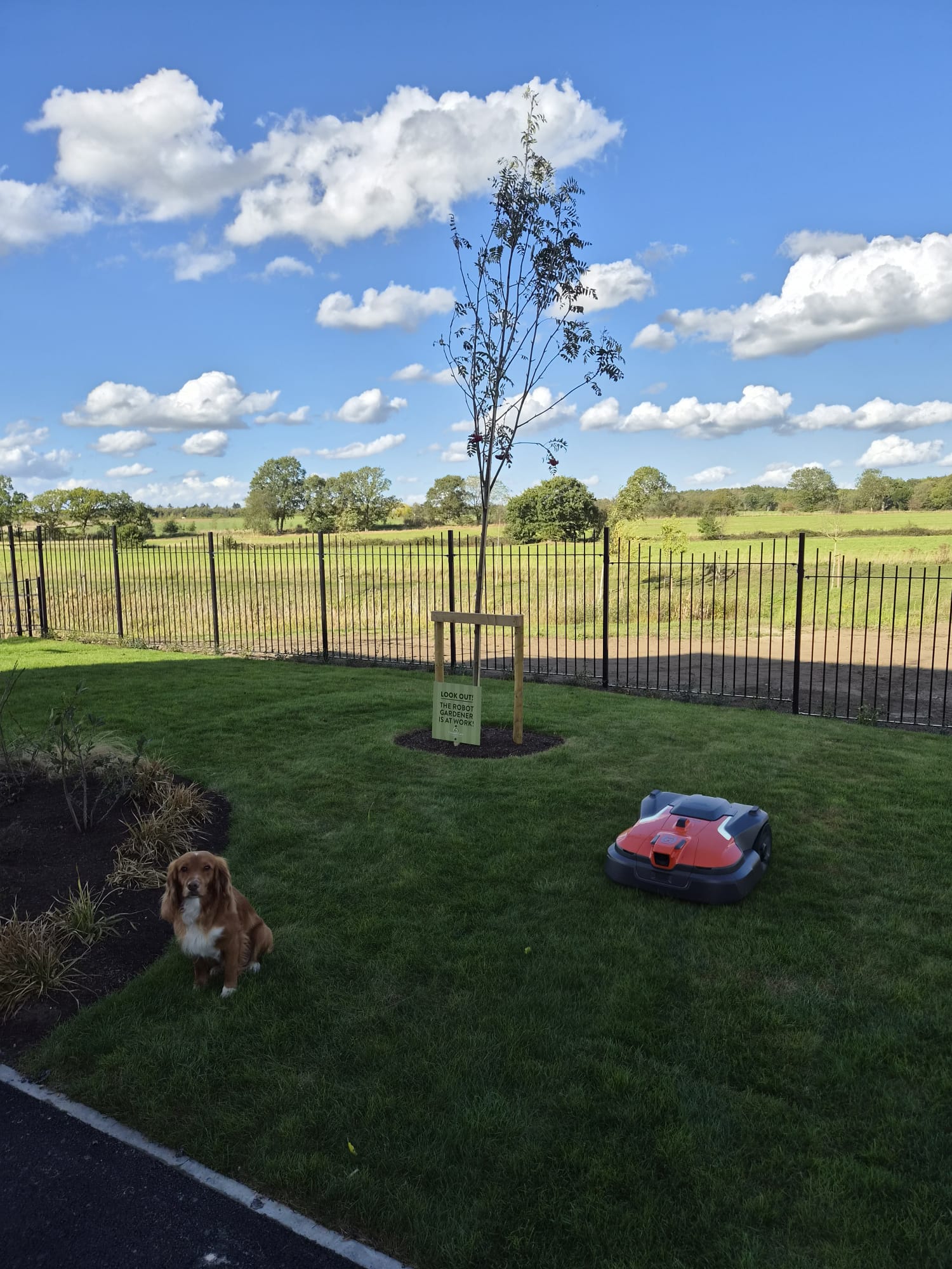 Husqvarna robotic mower and Rum on a garden lawn