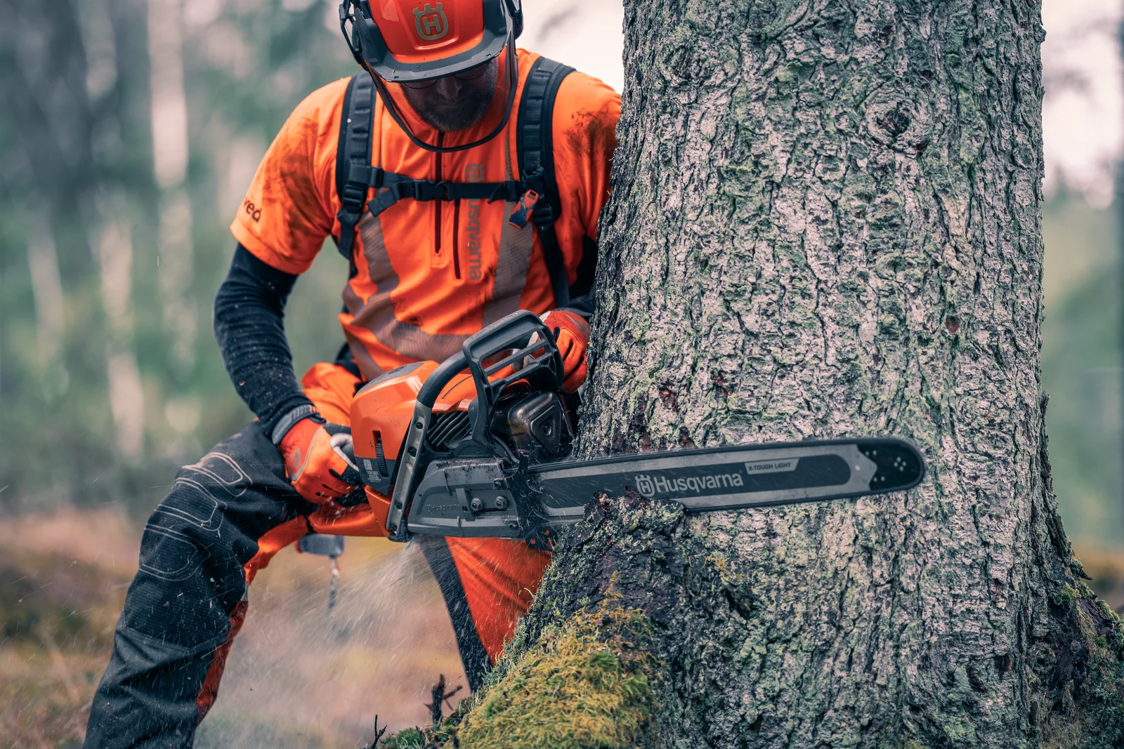 Husqvarna chainsaw operator cutting a tree