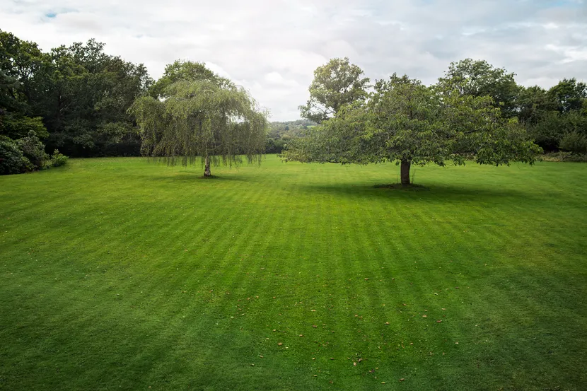 Selectable mowing patterns